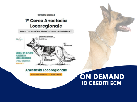 Anestesia Locoregionale Narcosvet 2024